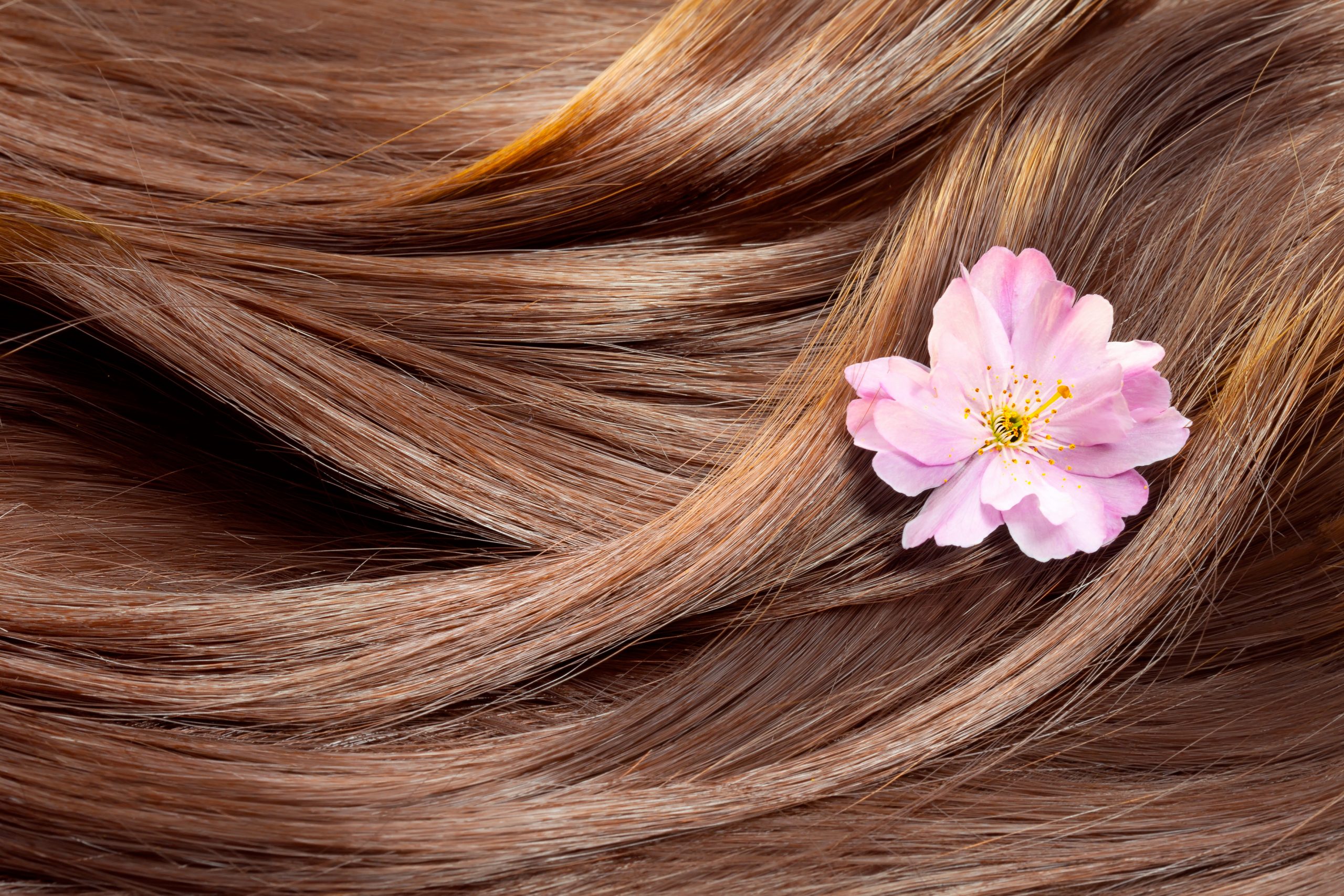 Manage your Dry Hair with Natural Products